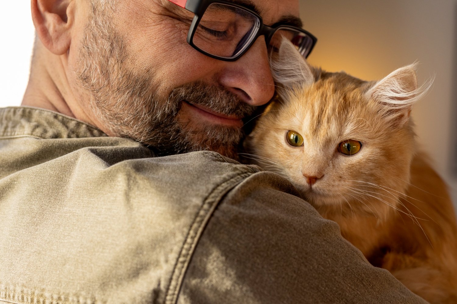 Homme serrant dans ses bras un chat roux